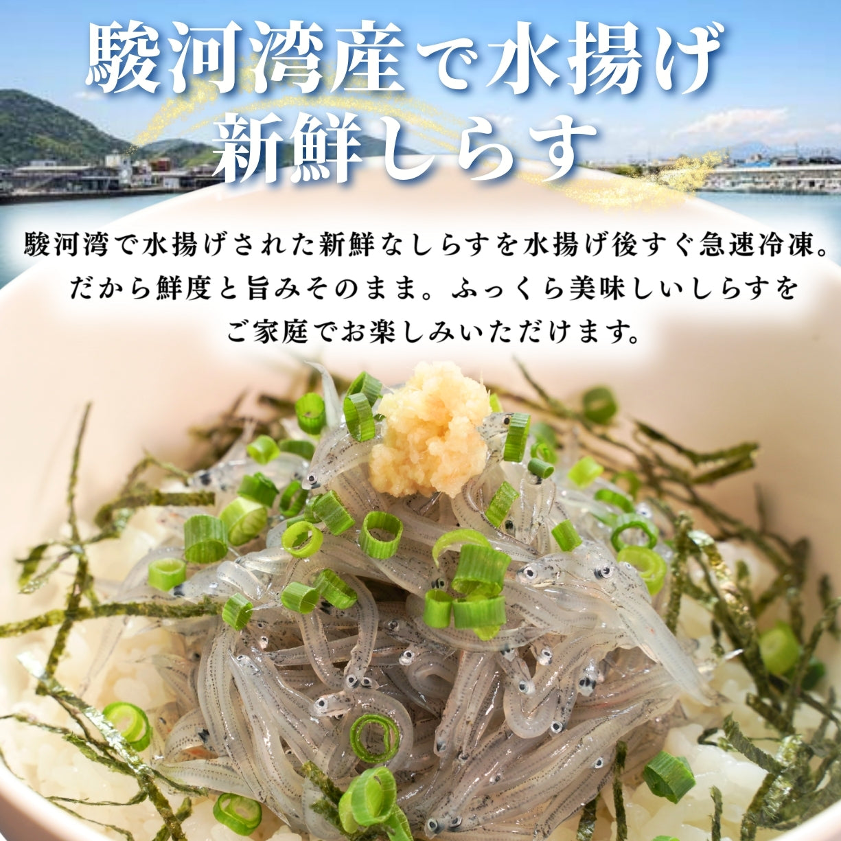 【本州送料無料】駿河湾産 生しらす 100g×1〜5パック｜冷凍・小分け・ギフト・贈答に最適 お店 冷凍