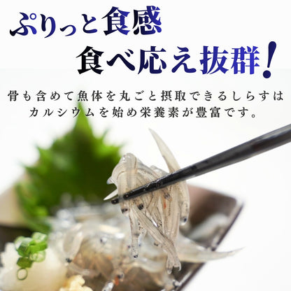 【本州送料無料】駿河湾産 生しらす 100g×1〜5パック｜冷凍・小分け・ギフト・贈答に最適 お店 冷凍