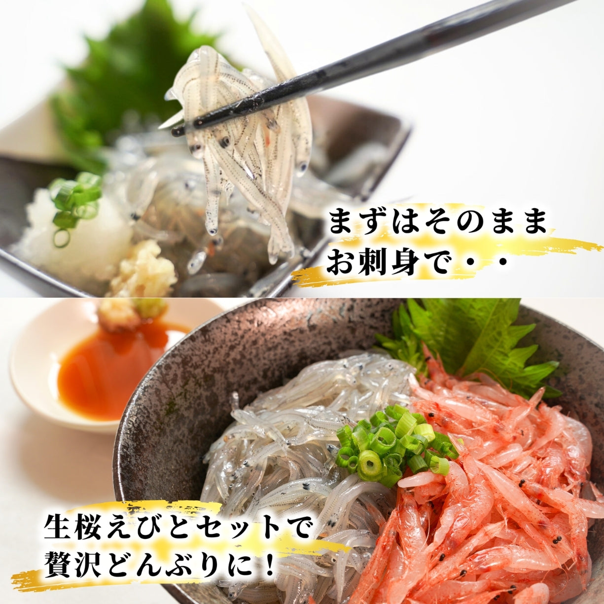 【本州送料無料】駿河湾産 生しらす 100g×1〜5パック｜冷凍・小分け・ギフト・贈答に最適 お店 冷凍