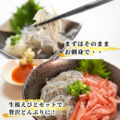 【本州送料無料】駿河湾産 生しらす 100g×1〜5パック｜冷凍・小分け・ギフト・贈答に最適 お店 冷凍