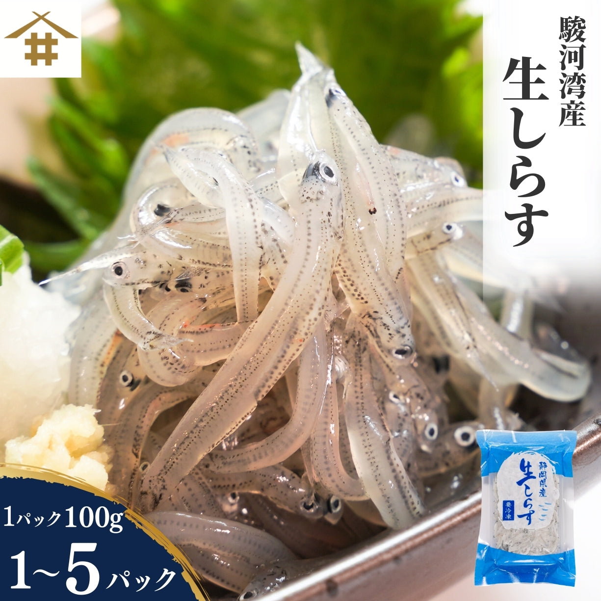 【本州送料無料】駿河湾産 生しらす 100g×1〜5パック｜冷凍・小分け・ギフト・贈答に最適 お店 冷凍