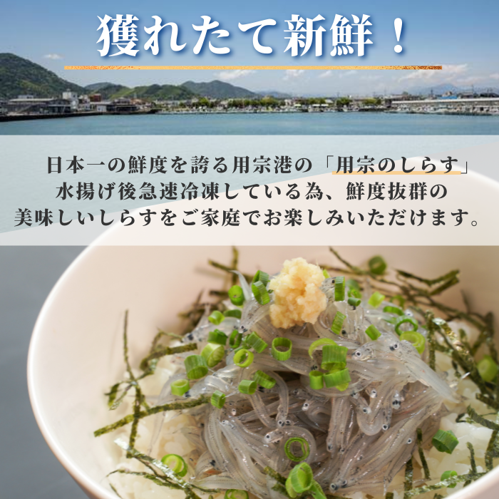 【本州送料無料】駿河湾産 生しらす 100g×1〜6パック｜冷凍・小分け・ギフト・贈答に最適 お店 冷凍