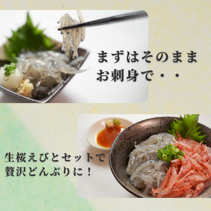 【本州送料無料】駿河湾産 生しらす 100g×1〜6パック｜冷凍・小分け・ギフト・贈答に最適 お店 冷凍