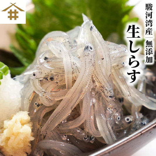 【本州送料無料】駿河湾産 生しらす 100g×1〜6パック｜冷凍・小分け・ギフト・贈答に最適 お店 冷凍