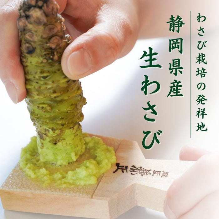 【本州送料無料！最大3,000円OFF】 静岡名産 生わさび（大・小サイズ）｜鮮度抜群 冷蔵 お店