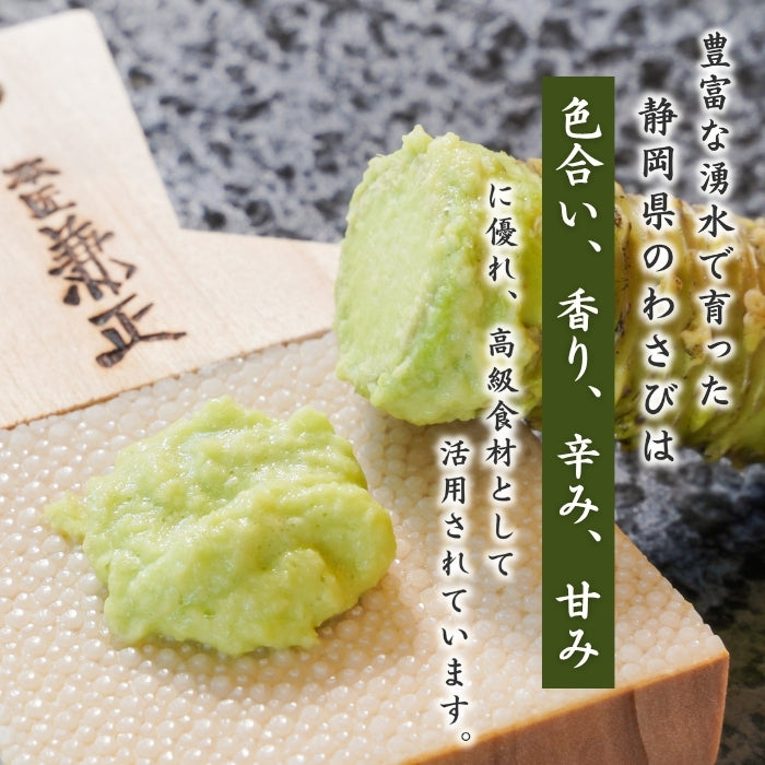 【本州送料無料！最大3,000円OFF】 静岡名産 生わさび（大・小サイズ）｜鮮度抜群 冷蔵 お店