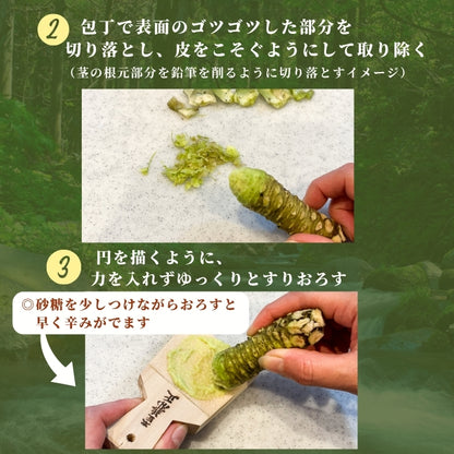 【本州送料無料！最大3,000円OFF】 静岡名産 生わさび（大・小サイズ）｜鮮度抜群 冷蔵 お店