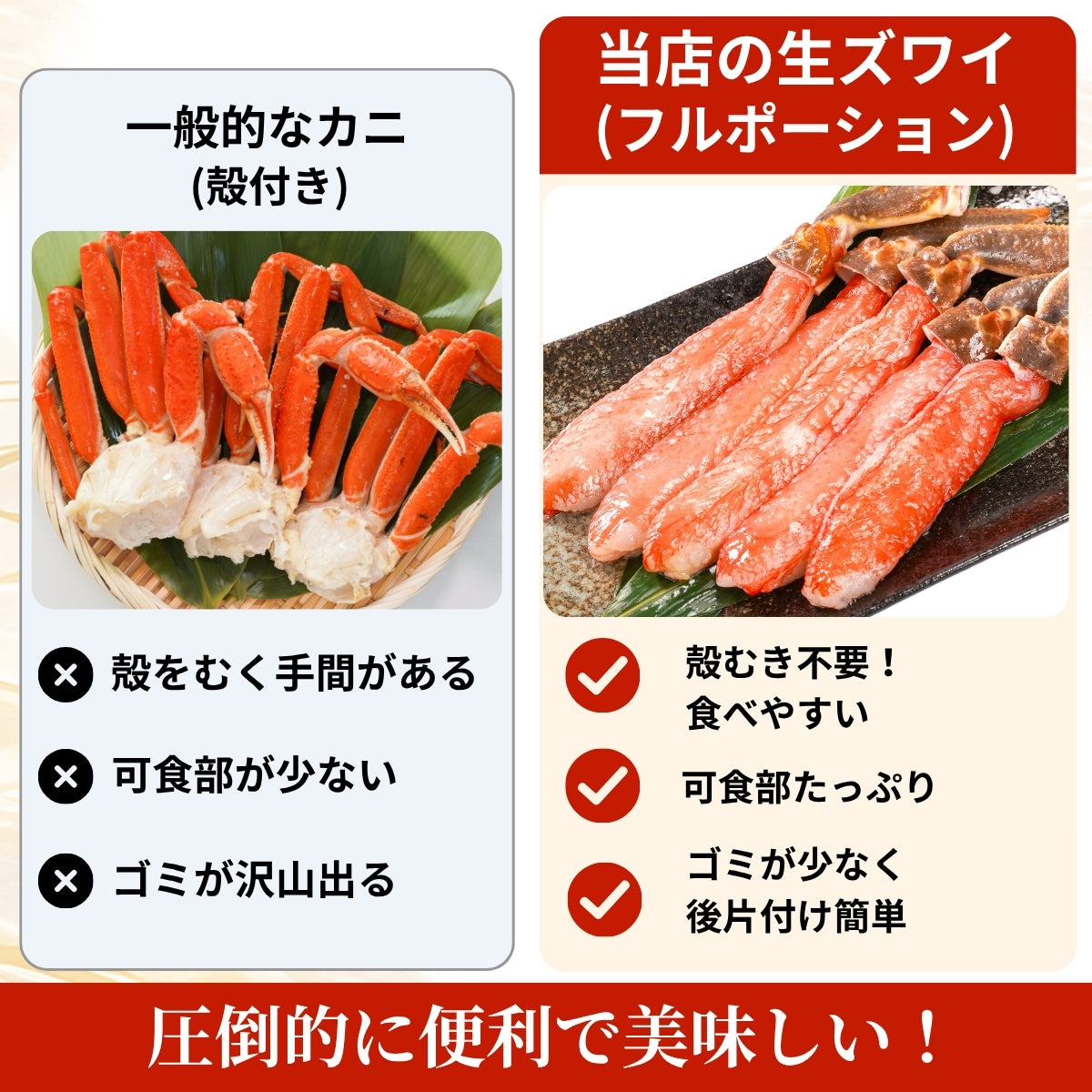 【数量限定！最大500円OFF】 生ズワイガニ 500g~1kg（1パック15本入り）｜大型サイズ・急速冷凍・鮮度抜群 さかな 冷凍