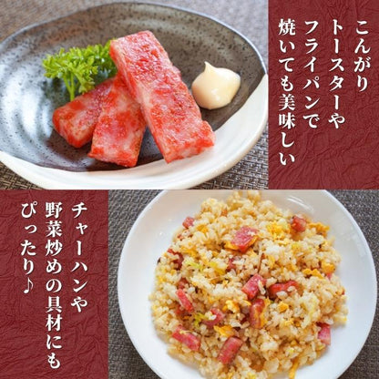 【本州送料無料】焼津名物 おさかなサラミ特大700g 水産庁長官賞受賞 ｜揚げかまぼこ×サラミ風味！魚肉おつまみ お店 冷凍