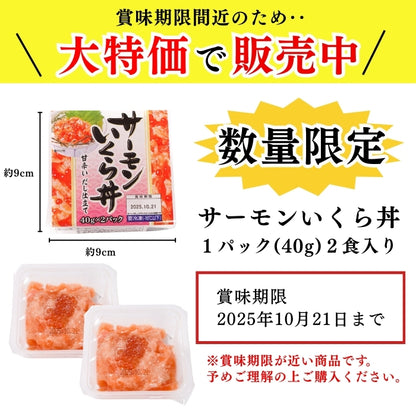 【お買い得商品！訳あり】サーモンいくら丼  2~8パック｜まとめ買い割引 最大3,000円OFF 鮭 いくら イクラ 丼ぶり 小分けタイプ 食品ロス削減 本州送料無料 さかな 冷凍
