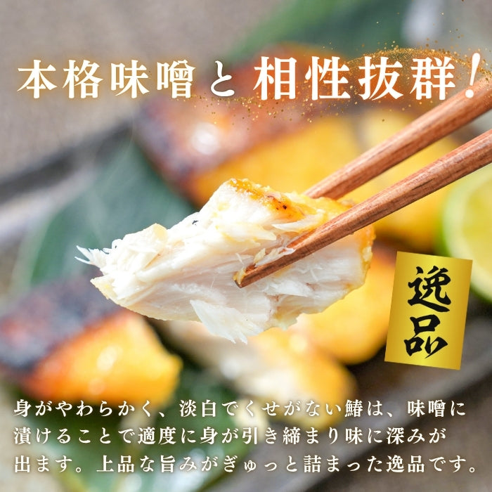【本州送料無料！最大4,500円OFF】 さわら西京味噌漬け 約80g×5〜20切れ｜冷凍・個包装・贈答に最適 冷凍 さかな