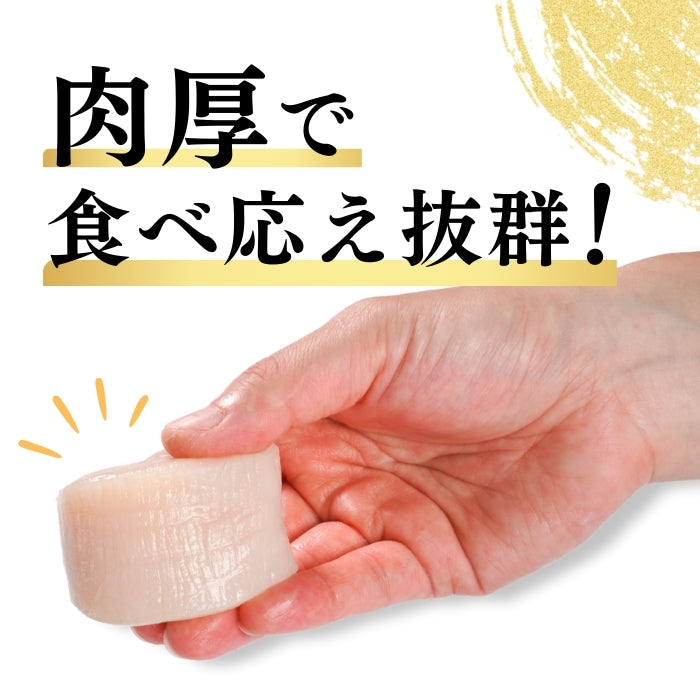 【本州送料無料！最大2,000円OFF】平貝 貝柱 500g（約8～10個）｜刺身用 冷凍 生食可 タイラギ貝 たいら貝 ギフト お取り寄せ 海鮮グルメ 寿司 海鮮丼 酒の肴 さかな