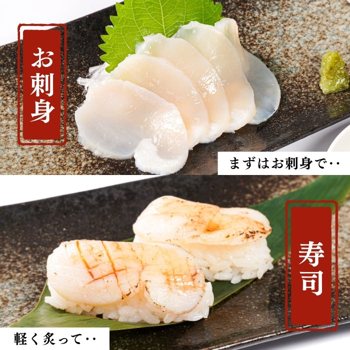 【本州送料無料！最大2,000円OFF】平貝 貝柱 500g（約8～10個）｜刺身用 冷凍 生食可 タイラギ貝 たいら貝 ギフト お取り寄せ 海鮮グルメ 寿司 海鮮丼 酒の肴 さかな