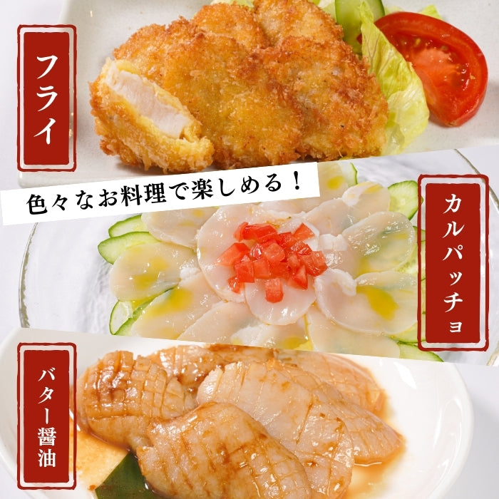 【本州送料無料！最大2,000円OFF】平貝 貝柱 500g（約8～10個）｜刺身用 冷凍 生食可 タイラギ貝 たいら貝 ギフト お取り寄せ 海鮮グルメ 寿司 海鮮丼 酒の肴 さかな