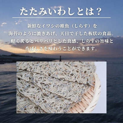 【ポスト投函・最大3,200円OFF】駿河湾特産 たたみいわし大サイズ 5枚入り｜自然乾燥・カルシウム豊富な健康食品・お酒の肴 さかな