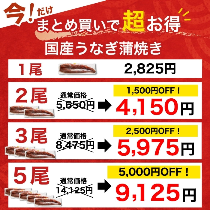 【本州送料無料！最大5,000円OFF】 鹿児島県産うなぎ蒲焼 約140g×1〜5尾｜国産特大うなぎ・まとめ買い・贈答用・丑の日ギフトに さかな 冷凍
