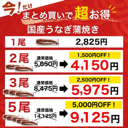 【本州送料無料！最大5,000円OFF】 鹿児島県産うなぎ蒲焼 約140g×1〜5尾｜国産特大うなぎ・まとめ買い・贈答用・丑の日ギフトに さかな 冷凍
