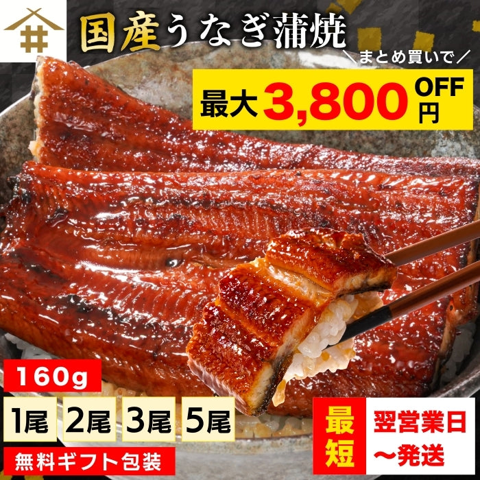 【本州送料無料！最大3,800円OFF】 鹿児島県産うなぎ蒲焼 約160g×1〜5尾｜国産特大うなぎ・まとめ買い・贈答用・丑の日ギフトに さかな 冷凍