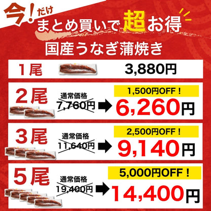 【本州送料無料！最大5,000円OFF】 鹿児島県産うなぎ蒲焼 約200g×1〜5尾｜国産特大うなぎ・まとめ買い・贈答用・丑の日ギフトに さかな 冷凍