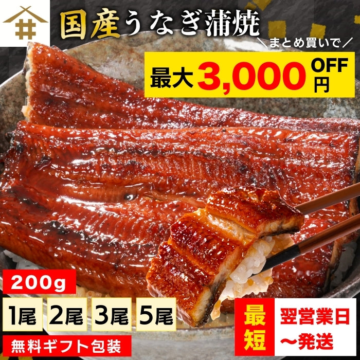 【本州送料無料！最大3,000円OFF】 鹿児島県産うなぎ蒲焼 約200g×1〜5尾｜国産特大うなぎ・まとめ買い・贈答用・丑の日ギフトに さかな 冷凍
