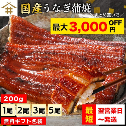 【本州送料無料！最大3,000円OFF】 鹿児島県産うなぎ蒲焼 約200g×1〜5尾｜国産特大うなぎ・まとめ買い・贈答用・丑の日ギフトに さかな 冷凍