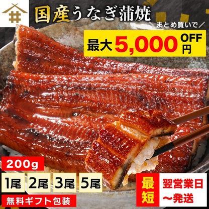 【本州送料無料！最大5,000円OFF】 鹿児島県産うなぎ蒲焼 約200g×1〜5尾｜国産特大うなぎ・まとめ買い・贈答用・丑の日ギフトに さかな 冷凍