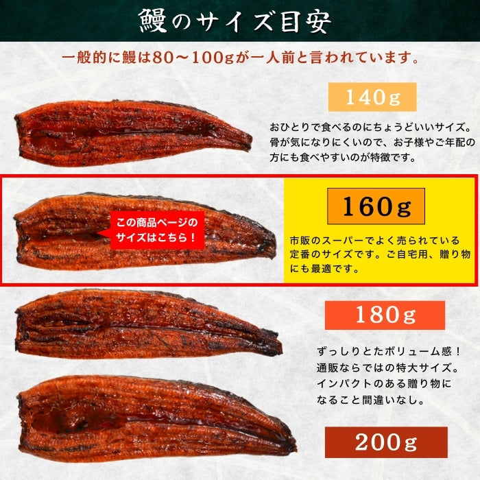 【本州送料無料！最大5,000円OFF】 鹿児島県産うなぎ蒲焼 約160g×1〜5尾｜国産特大うなぎ・まとめ買い・贈答用・丑の日ギフトに さかな 冷凍