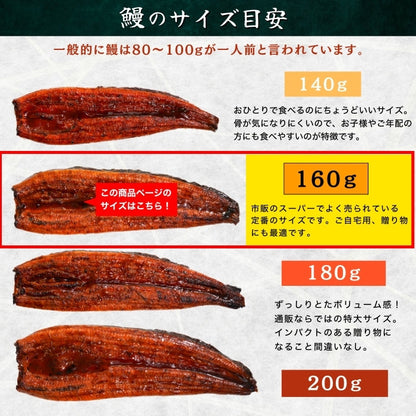 【本州送料無料！最大5,000円OFF】 鹿児島県産うなぎ蒲焼 約160g×1〜5尾｜国産特大うなぎ・まとめ買い・贈答用・丑の日ギフトに さかな 冷凍