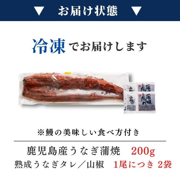 【本州送料無料！最大5,000円OFF】 鹿児島県産うなぎ蒲焼 約200g×1〜5尾｜国産特大うなぎ・まとめ買い・贈答用・丑の日ギフトに さかな 冷凍