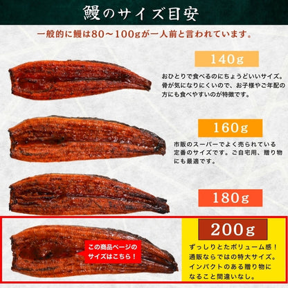 【本州送料無料！最大5,000円OFF】 鹿児島県産うなぎ蒲焼 約200g×1〜5尾｜国産特大うなぎ・まとめ買い・贈答用・丑の日ギフトに さかな 冷凍