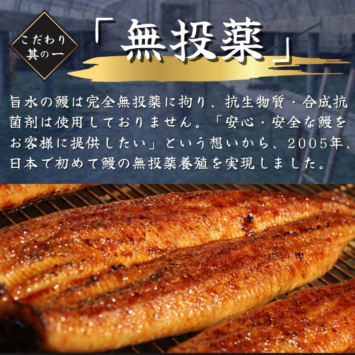 【本州送料無料！最大5,000円OFF】 鹿児島県産うなぎ蒲焼 約160g×1〜5尾｜国産特大うなぎ・まとめ買い・贈答用・丑の日ギフトに さかな 冷凍