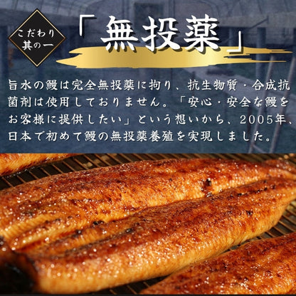【本州送料無料！最大5,000円OFF】 特大うなぎ蒲焼き 180g｜タレ・山椒付き｜土用の丑の日・ギフトに最適！ さかな 冷凍
