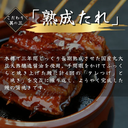 【本州送料無料！最大5,000円OFF】 鹿児島県産うなぎ蒲焼 約200g×1〜5尾｜国産特大うなぎ・まとめ買い・贈答用・丑の日ギフトに さかな 冷凍