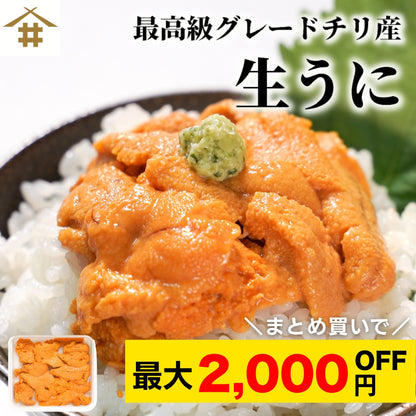 【本州送料無料！最大2,000円OFF】 生うに 60g×1〜3パック｜Aランク・チリ産・自然解凍でうに丼や手巻き寿司に最適｜濃厚な旨みを家庭で堪能 お店 冷凍