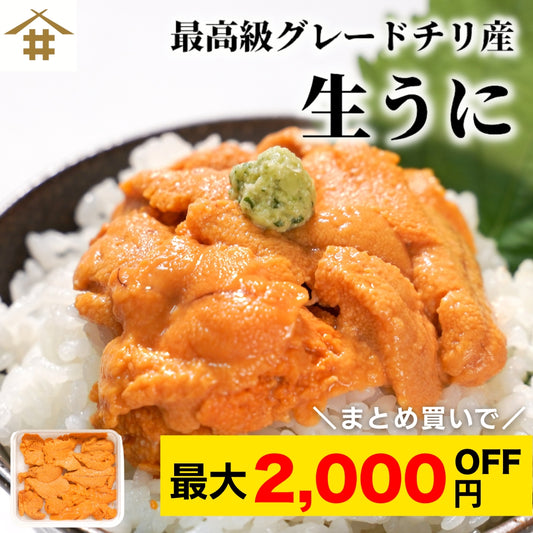 【本州送料無料！最大2,000円OFF】 生うに 60g×1〜3パック｜Aランク・チリ産・自然解凍でうに丼や手巻き寿司に最適｜濃厚な旨みを家庭で堪能 お店 冷凍
