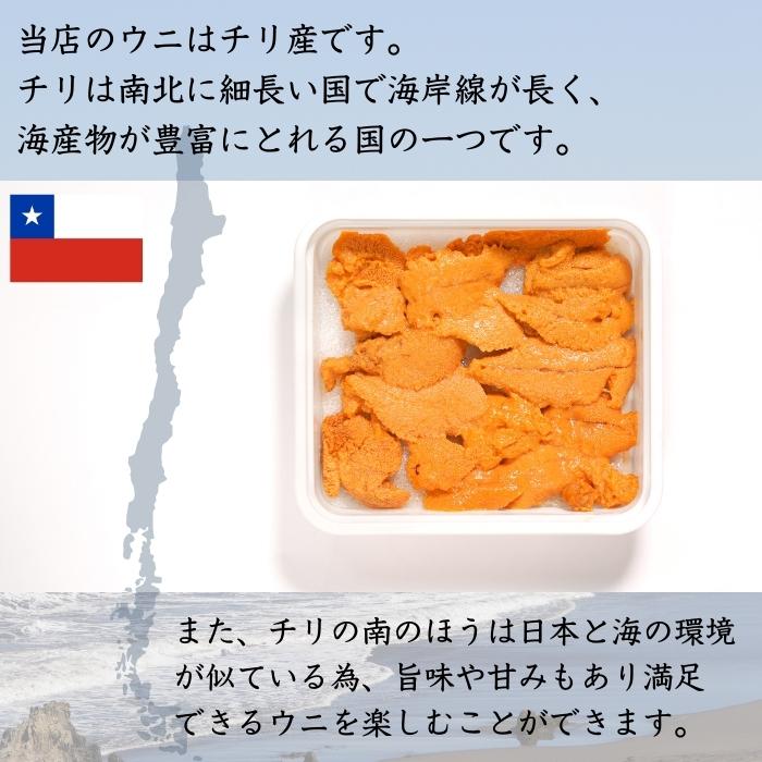 【本州送料無料！最大2,000円OFF】 生うに 60g×1〜3パック｜Aランク・チリ産・自然解凍でうに丼や手巻き寿司に最適｜濃厚な旨みを家庭で堪能 お店 冷凍