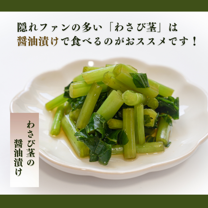 【本州送料無料！最大5,000円OFF】 わさび茎2束〜10束【静岡 有東木産】わさび名産地の香り豊かな山葵｜お店用・業務用にも最適 お店 冷蔵