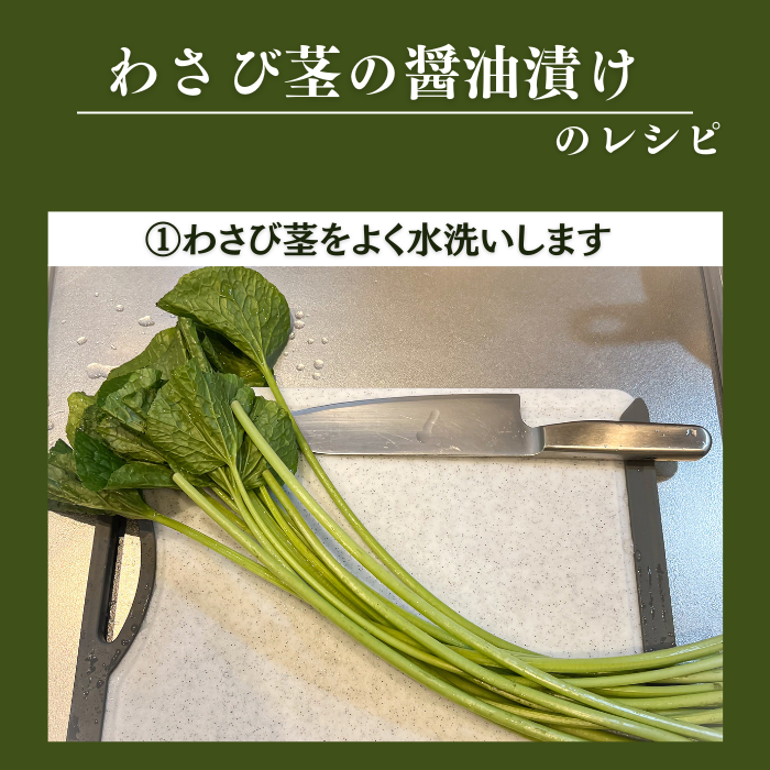 【本州送料無料！最大5,000円OFF】 わさび茎2束〜10束【静岡 有東木産】わさび名産地の香り豊かな山葵｜お店用・業務用にも最適 お店 冷蔵