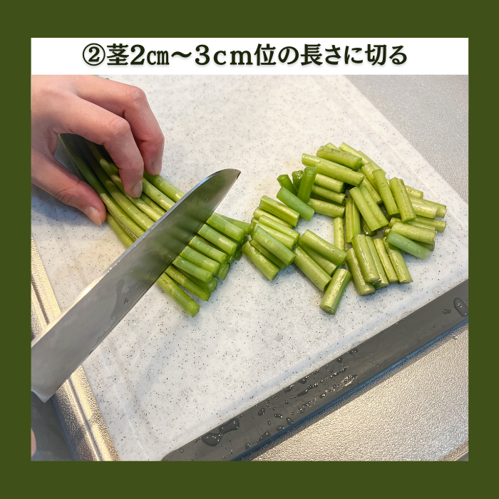 【本州送料無料！最大5,000円OFF】 わさび茎2束〜10束【静岡 有東木産】わさび名産地の香り豊かな山葵｜お店用・業務用にも最適 お店 冷蔵