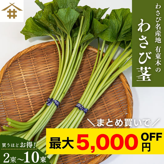 【本州送料無料！最大5,000円OFF】 わさび茎2束〜10束【静岡 有東木産】わさび名産地の香り豊かな山葵｜お店用・業務用にも最適 お店 冷蔵