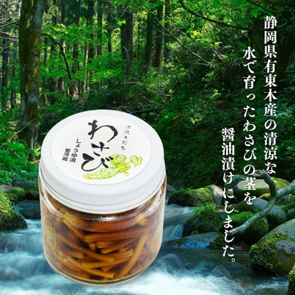 【本州送料無料！最大4,000円OFF】 静岡・有東木のわさび茎醤油漬け 1~5個｜国産山葵・手作りの逸品 お店 冷蔵