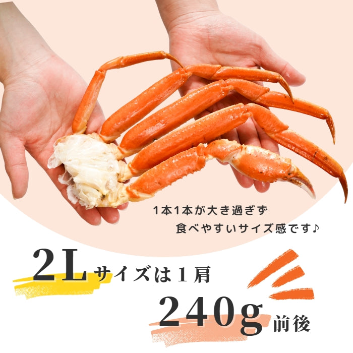 【本州送料無料！最大1 ,000円OFF】 ボイルずわいがに 2L 4肩セット（1肩約240g）｜船上釜茹・急速冷凍・贈答にも さかな 冷凍
