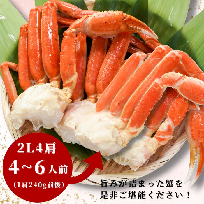 【本州送料無料！最大1 ,000円OFF】 ボイルずわいがに 2L 4肩セット（1肩約240g）｜船上釜茹・急速冷凍・贈答にも さかな 冷凍
