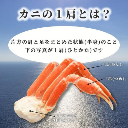 【本州送料無料】 特大6Lボイルずわいがに 3肩セット（1肩約420g）｜急速冷凍・ギフト・鍋にも最適 さかな 冷凍