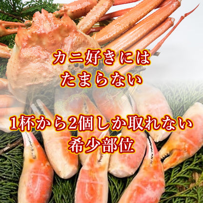 【本州送料無料！最大2,500円OFF】 ズワイガニ爪 4Lサイズ 1kg（21～25個）｜ボイル済・冷凍・ギフト・鍋料理に最適 さかな 冷凍